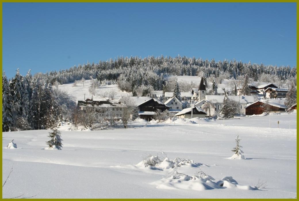 Pension Philippsreut "Zum Pfenniggeiger" Am Goldsteigwanderweg 外观 照片